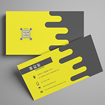 마이크로일반타입