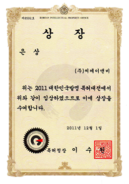 특허청 (2011)